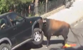 Sinirlenince araca saldırdı