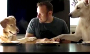 Bu üçlü spagetti yarışında