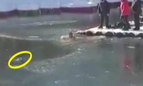 Adam köpeği böyle kurtardı