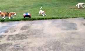 En sevdikleri oyun bu