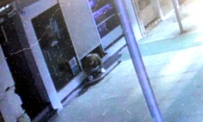 Sürünerek girdi, 25 bin TL çaldı