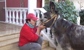Barınaktan havuzlu villaya