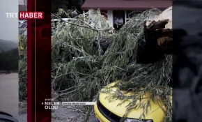 2016'daki doğal afetler