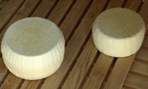 Eşek sütünden peynir