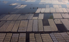 Selin etkisi havadan görüntülendi