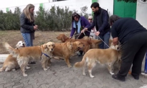 Bodrum'un Golden Çetesi