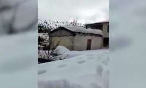 Ağırlığa dayanamadı