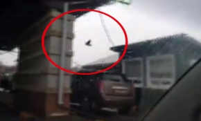 Karga pasaportu böyle çaldı