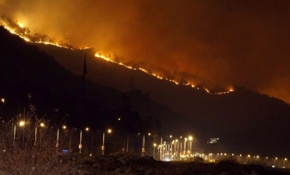 Sürmene'de orman yangını