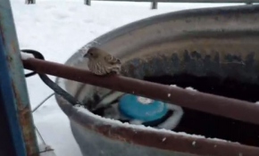 Soğuktan ayakları demire yapıştı