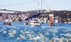 Boğaziçi Kıtalararası Yüzme Yarışı'na büyük ilgi