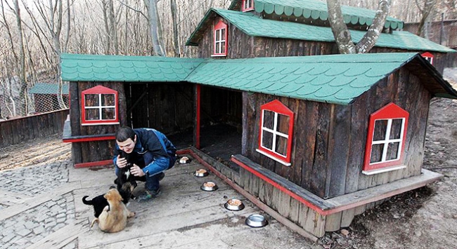 Köpekler için yapılan 'sevgi evleri' sahiplenmeleri artırdı