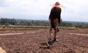 Günde 1 dolara dünya markaları için ter döküyorlar
