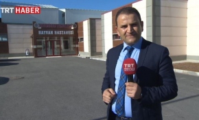 Hayvanlara özel hastane