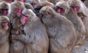 Ziyaretçiler bu görüntülere çok şaşırdı