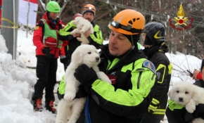 İtalya'da 3 yavru köpek çığ altından kurtarıldı