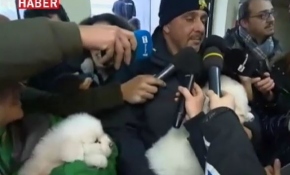 Çığ enkazından çıkarılan yavru köpekler