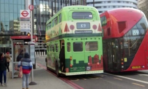 Londra'da köpeklere otobüslerle şehir turu