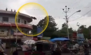 İnek çatıdan atladı