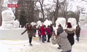 Japonya'da kar festivali