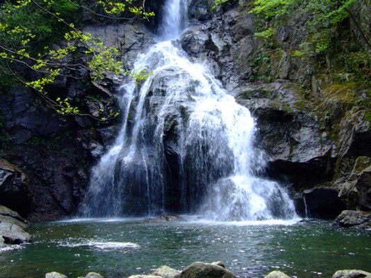 8. Şelaleler içindeki yayla: Erikli Yaylası / Yalova