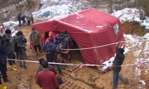 İstanbul Beykoz'da köpek kurtarma çalışması