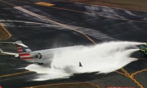 Uçak geyiğe çarptı