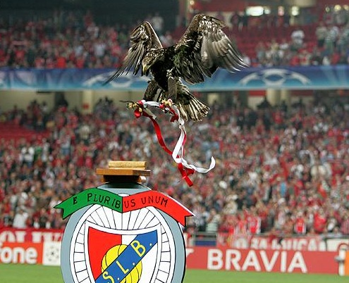 Benfica - As Águias (Kartallar)