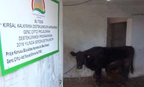 Gıda Tarım ve Hayvancılık Bakanlığından 'Genç çiftçi projesi'