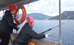 Dalyan kefal balığı festivali