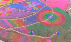 Çin'de bahar esintileri görenleri mest etti