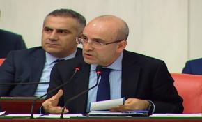 Başbakan Yardımcısı Mehmet Şimşek'den madeni para açıklaması