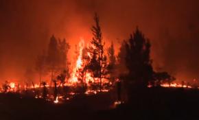 Şili'nin başı orman yangınlarıyla dertte