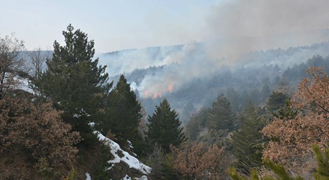 Çankırı'da orman yangını