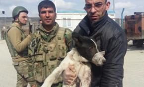 El Bab'ın mucize köpeği 'Mucize'