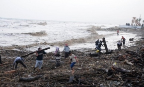 Mersin'de selde odun kapma yarışı