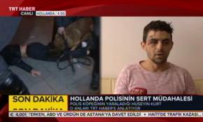 Hollanda'da köpekli saldırıya uğrayan Türk o anları anlattı