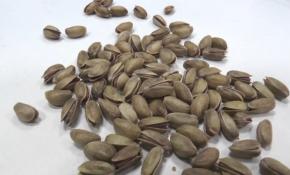 Şifa kaynağı 'Antep fıstığı'