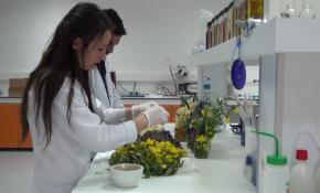 Endemik bitki yuvası Muğla