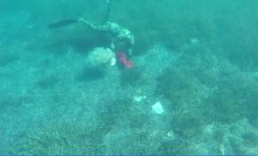 Bodrum'da dalgıçlar deniz dibi temizliği yaptı