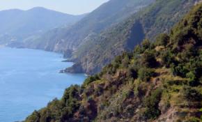 En mutlu ülkeler listesi