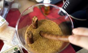 İncir çekirdeği geçim kapısı oldu