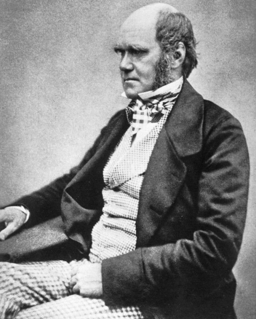 3. Doğal Seçilim Teorisi