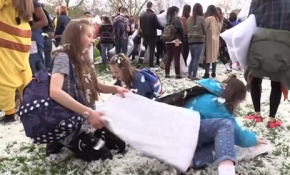 Yastığını alan savaşa koştu