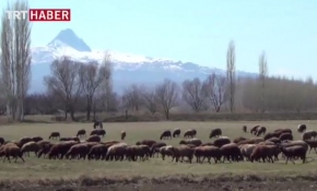 Doğuda bahar yüzünü gösterdi