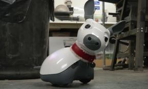 Yalnızlık çekenlerin yeni arkadaşı evcil robot Miro