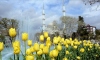 'Konya'da 'lale mevsimi' yaşanıyor'