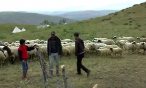 Azmi ve umudu başarıya döndüren TEOG birincileri