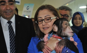 Şempanze Can'ın Başkan Şahin'e oyunu