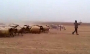 İşte dünyanın en itaatkar ordusu